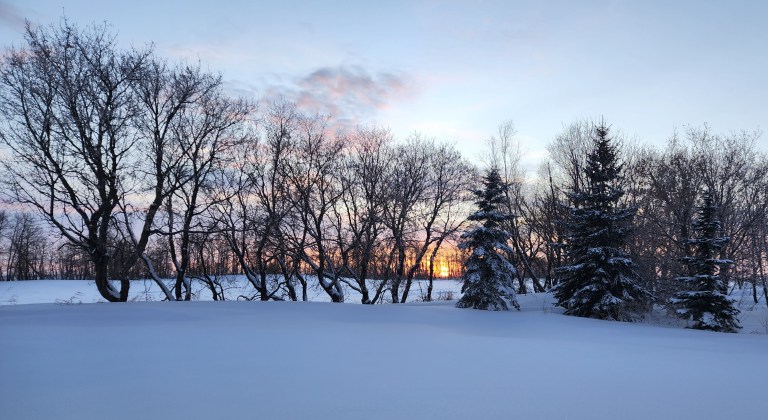 As the Sun Sets on 2022