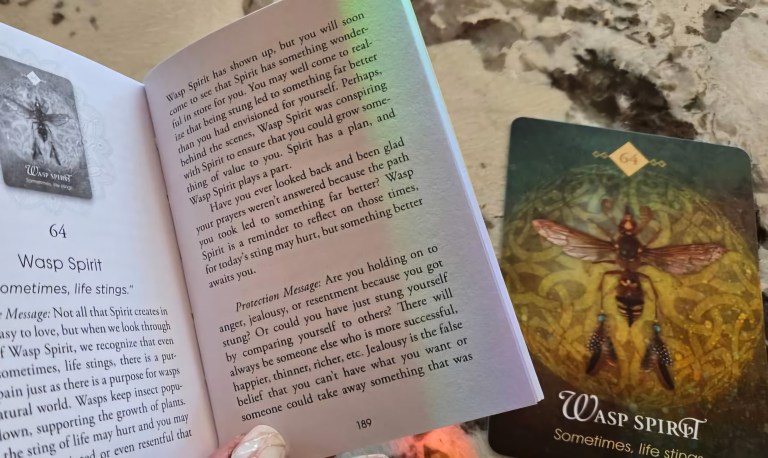 Sometimes Life Stings